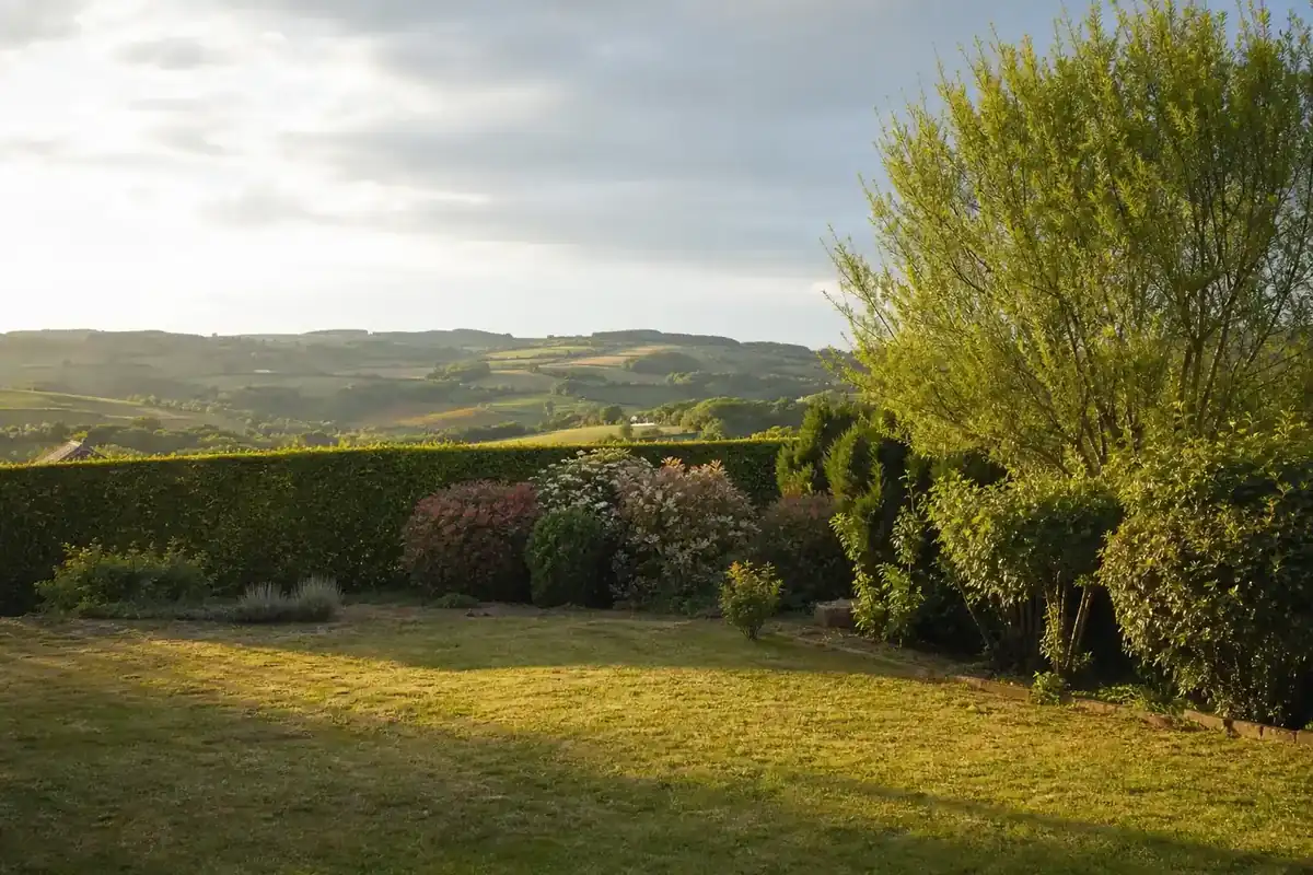 Jardin de maison en campagne aveyronnaise sur terre rouge argileuse, haie fraîchement taillée et massif d'arbustes, lumière douce de fin d'après-midi, cadrage large qui montre le terrain s'ouvrant vers les collines du Rougier.