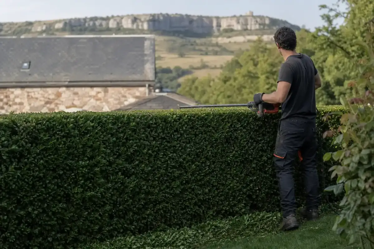 Photo horizontale d'un paysagiste taillant une haie de charmille bien droite dans un jardin résidentiel du pays ruthénois, lumière douce de fin de journée, causse rocheux en arrière-plan lointain.