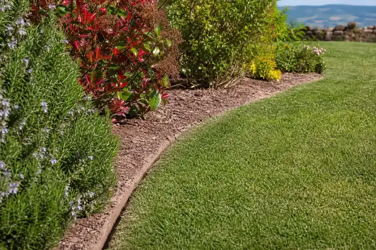 Gros plan sur des bordures nettes le long d'un massif et d'une allée, herbe coupée à hauteur régulière, finition au coupe-bordures nettement visible.