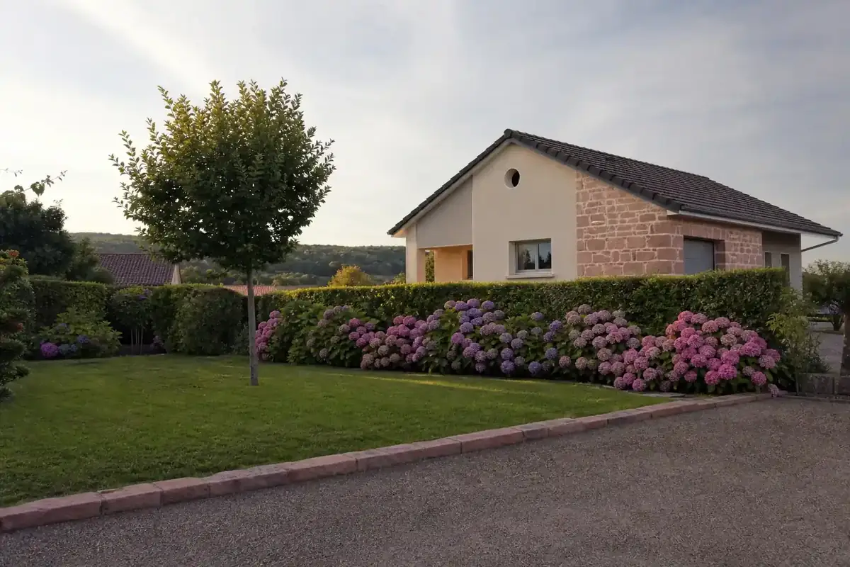 Photo d'un jardin de lotissement à La Primaube, pelouse verte et dense typique du Ségala, massif d'hortensias en fleurs le long d'une haie basse bien taillée, maison récente en pierre et crépi clair en arrière-plan, ciel légèrement voilé du plateau, lumière douce de fin de journée, cadrage large depuis l'allée.